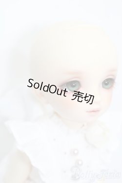 画像4: 幼天使/椿 S-25-11-16-471-GN-ZS