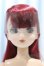 画像1: 【新宿マルイアネックス店 店頭販売商品】リカちゃん/ひなちゃん 2100150000012482-ZM (1)