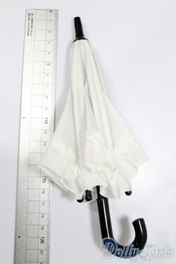 画像2: SDM＆MSD/OF:小物 S-25-07-06-261-GN-ZS
