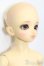画像3: SD13女の子/ミミ S-25-06-22-007-GN-ZS