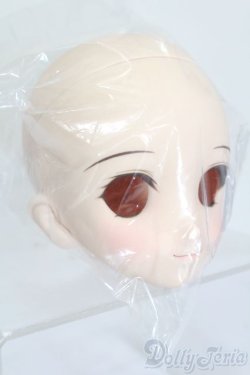 画像3: DD/DDH-06 メイク済みヘッド 2011ver. S-25-06-22-025-GN-ZS