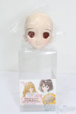画像5: DD/DDH-06 メイク済みヘッド 2011ver. S-25-06-22-025-GN-ZS