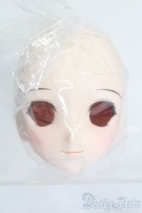 DD/DDH-06 メイク済みヘッド 2011ver. S-25-06-22-026-GN-ZS