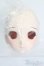 画像1: DD/DDH-06 メイク済みヘッド 2011ver. S-25-06-22-026-GN-ZS (1)
