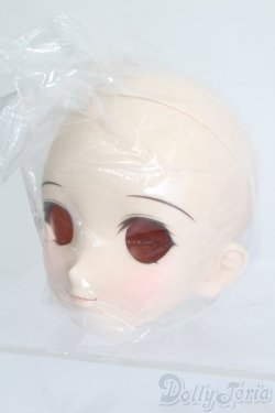 画像2: DD/DDH-06 メイク済みヘッド 2011ver. S-25-06-22-026-GN-ZS