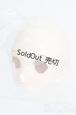 画像2: DD/DDH-06 メイク済みヘッド 2011ver. S-25-12-21-397-GN-ZS