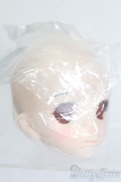 画像3: DD/DDH-06 メイク済みヘッド 2011ver. S-25-06-22-026-GN-ZS