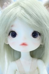 【新宿マルイアネックス店 店頭販売商品】DollZone/Milky Tea 2100150000012735-ZM
