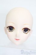 DDH-09カスタムメイクヘッド S-25-06-22-115-GN-ZS