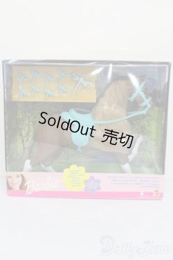 画像1: バービー/Meadow Mares/Dragonfly S-25-11-16-396-GN-ZS