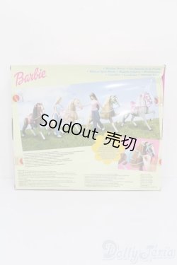 画像3: バービー/Meadow Mares/Dragonfly S-25-11-16-396-GN-ZS