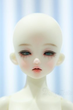 画像1: 【新宿マルイアネックス店 店頭販売商品】Asleep Eidolon/Cordelia 27cm 2100150000012921-ZM