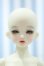 画像1: 【新宿マルイアネックス店 店頭販売商品】Asleep Eidolon/Cordelia 27cm 2100150000012921-ZM (1)