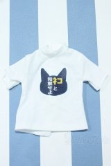 【新宿マルイアネックス店 店頭販売商品】DD/OF:トップス 2100150000012951-ZM