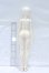 画像4: ufdoll/1/4 Lady body set S-26-04-05-057-GN-ZS (4)