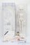 画像1: ufdoll/1/4 Lady body set S-25-06-29-002-GN-ZS (1)