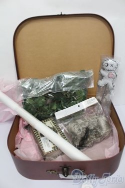 画像2: SDM/ANGEL'S DEPT. ドルフィー Halloween Present Box S-25-06-29-012-GN-ZS