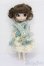 画像4: プーリップ/深澤翠ｘLa robe vert clair S-25-06-29-017-GN-ZS