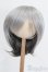 画像1: 9-10inch/ウィッグ S-25-06-29-299-GN-ZS (1)