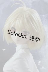 【新宿マルイアネックス店 店頭販売商品】DD/月姫:アルクェイド・ブリュンスタッド 2100150000013236-ZM