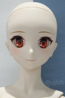 画像2: 【新宿マルイアネックス店 店頭販売商品】DD/月姫:アルクェイド・ブリュンスタッド 2100150000013236-ZM