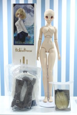 画像3: 【新宿マルイアネックス店 店頭販売商品】DD/月姫:アルクェイド・ブリュンスタッド 2100150000013236-ZM
