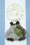 画像1: 【新宿マルイアネックス店 店頭販売商品】COCORIANG/OF:衣装 2100150000013627-ZM (1)
