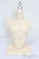 画像1: TelesthesiaDoll/Torso(トルソー) S-25-07-06-208-GN-ZS (1)