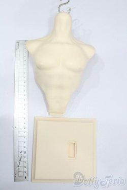 画像4: TelesthesiaDoll/Torso(トルソー) S-25-07-06-208-GN-ZS