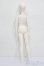 画像5: Withdoll/Eve S-25-07-13-101-GN-ZS