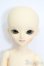 画像2: BLUE FAIRY/SF:Benjamin S-25-07-13-009-GN-ZS (2)
