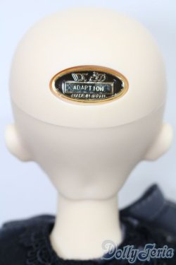 画像5: SD女の子/F-86 アダプションモデル S-25-11-09-053-GN-ZS