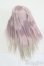 画像2: 4.5inch/ウィッグ S-25-07-13-198-GN-ZS (2)