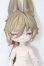 画像1: 月飛び時間/梧秋 S-25-07-20-227-GN-ZS (1)
