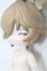 画像2: 月飛び時間/梧秋 S-25-07-20-227-GN-ZS (2)