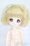 画像1: DOLLCE/ミニスウィーツドール:アンジェリカ S-25-07-13-120-GN-ZS (1)