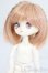 画像2: DOLLCE/ミニスウィーツドール:メイクアップシロネ S-25-07-13-119-GN-ZS (2)