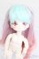 画像1: DOLLCE/ミニスウィーツドール:スノーコシュカ S-25-07-13-117-GN-ZS (1)