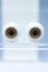 画像1: 【新宿マルイアネックス店 店頭販売商品】16mm/グラスアイ 2100150000014160-ZM (1)
