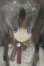 画像1: 【新宿マルイアネックス店 店頭販売商品】azone/Alvastaria ラヴィ〜猫怪盗を追え！〜(ワトソンちゃんver.) 2100150000014173-ZM (1)