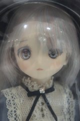 【新宿マルイアネックス店 店頭販売商品】尾櫃制服計画/上村瑛理:鏡の国のアリスメイド アゾンダイレクトストア販売ver. 2100150000014199-ZM