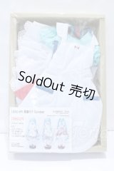 DD/OF:Living with 初音ミク Gatebox S-26-05-31-380-GN-ZS
