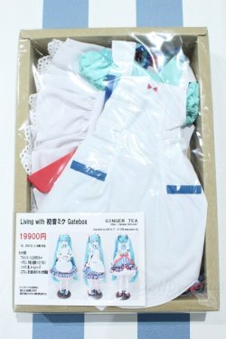 画像1: 【新宿マルイアネックス店 店頭販売商品】DD/OF:Living with 初音ミク Gatebox 2100150000014269-ZM