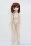 画像5: MDD/カスタムドールセット:DDH-01ヘッド+MDD(DD-f3)ボディ S-25-07-20-002-GN-ZS