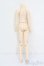 画像2: azone/PNLボディ S-25-07-13-223-GN-ZS (2)