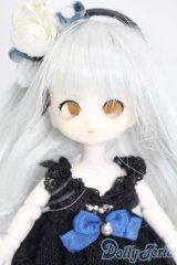 ミニスウィーツドール/DC11-02:カスタムドール S-25-07-20-111-GN-ZS
