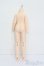 画像2: DolleyDoll/1/6ドールボディ　ヘチマボディ S-25-07-20-211-GN-ZS (2)