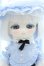 画像1: 【新宿マルイアネックス店 店頭販売商品】TinyFox/シームーン アウレリア 2100150000014657-ZM (1)