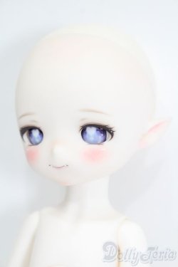 画像2: ADVillage/Viki04・LE S-25-07-27-005-GN-ZS
