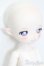 画像3: ADVillage/Viki04・LE S-25-07-27-005-GN-ZS